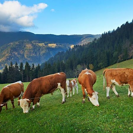 Tourist Farm Kladje Villa Ljubno Eksteriør bilde