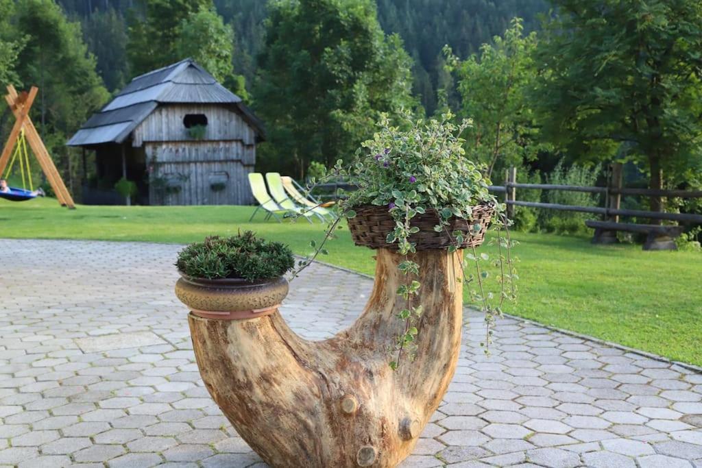 Tourist Farm Kladje Villa Ljubno Eksteriør bilde