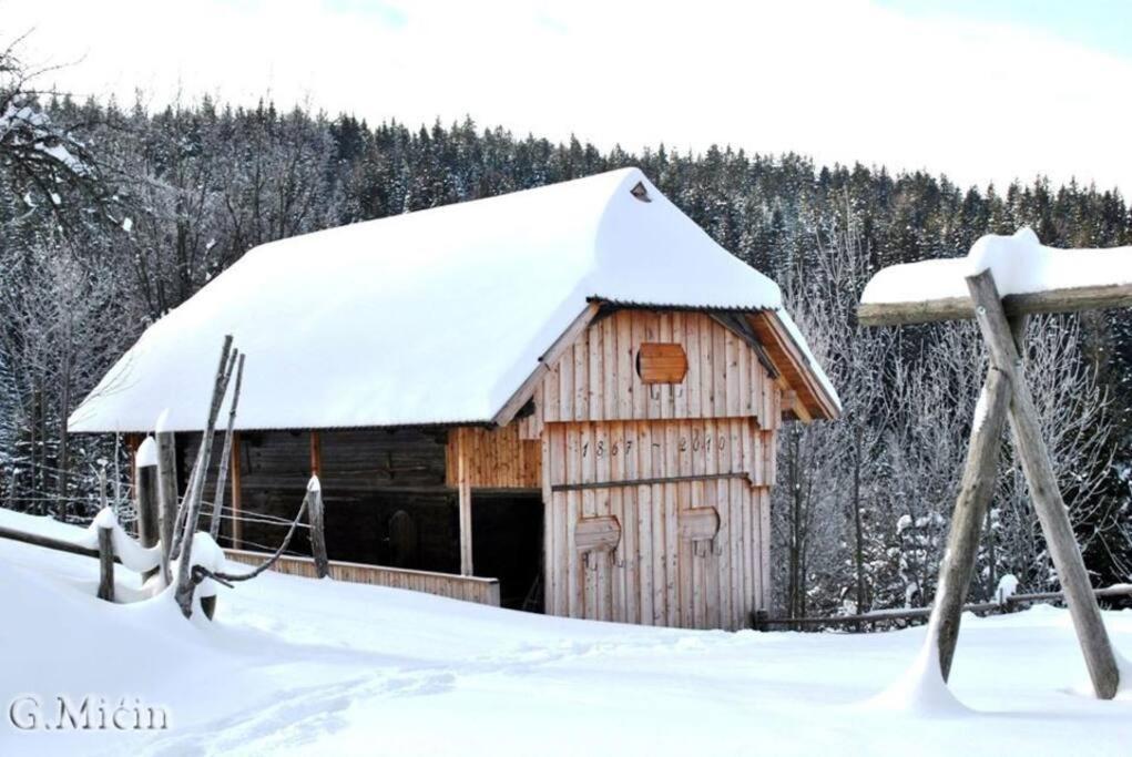 Tourist Farm Kladje Villa Ljubno Eksteriør bilde