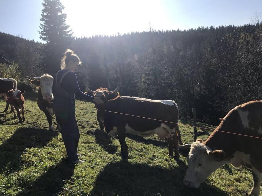 Tourist Farm Kladje Villa Ljubno Eksteriør bilde