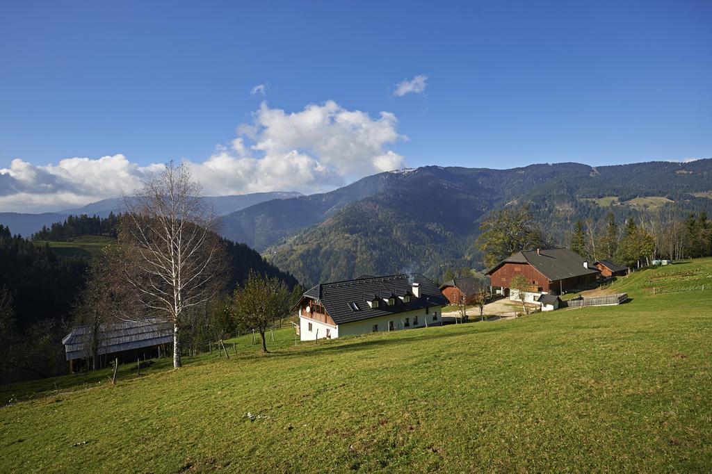 Tourist Farm Kladje Villa Ljubno Eksteriør bilde