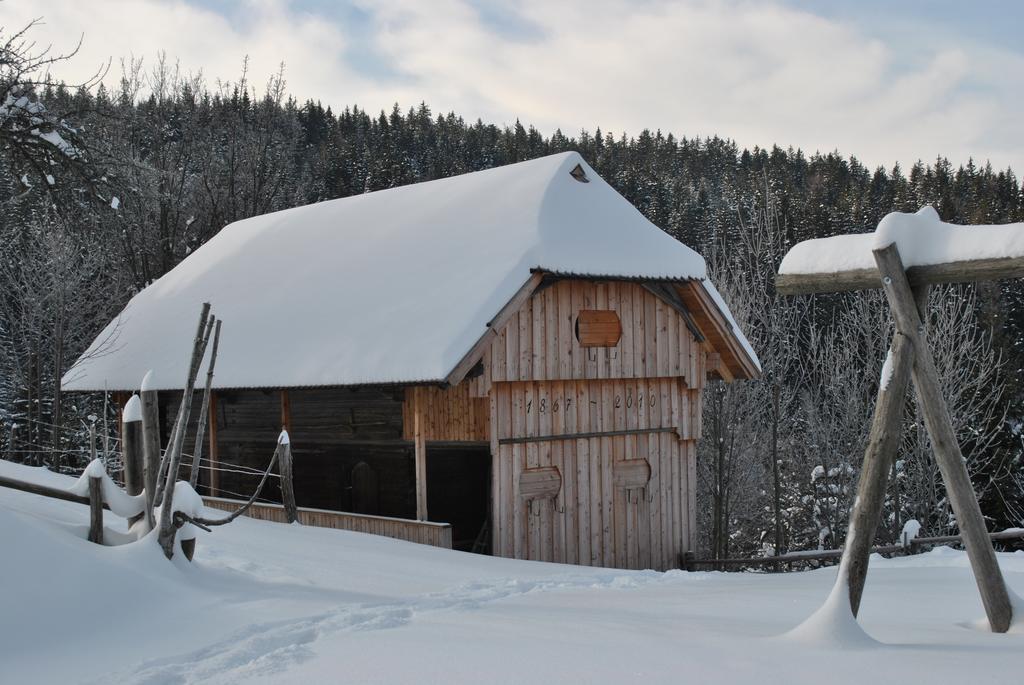 Tourist Farm Kladje Villa Ljubno Eksteriør bilde