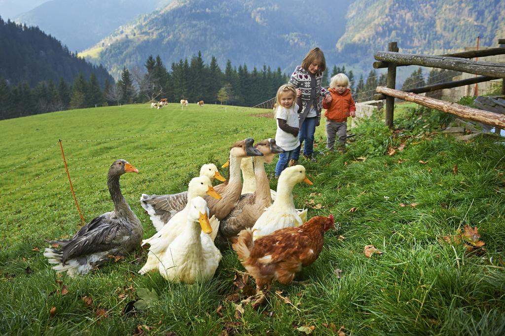 Tourist Farm Kladje Villa Ljubno Eksteriør bilde